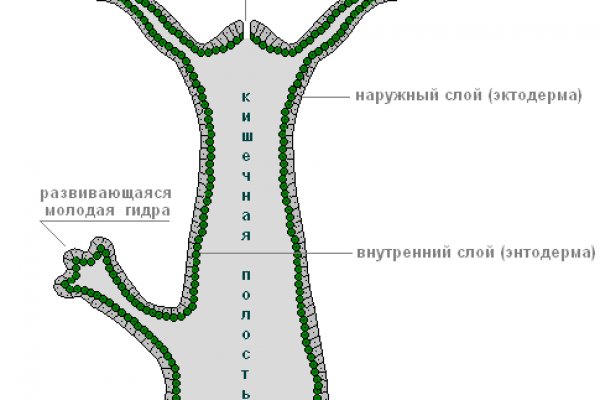 Кракен пользователь не найден