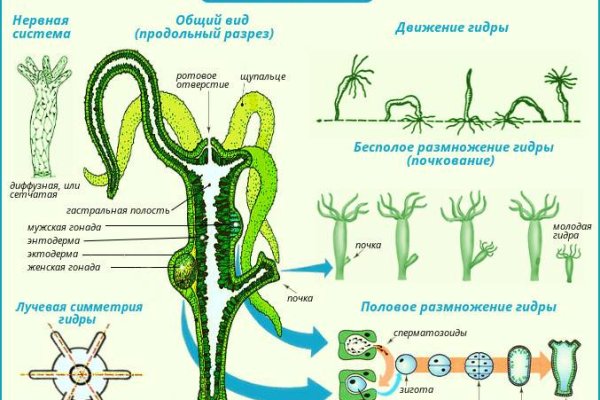 Kraken даркнет переходник