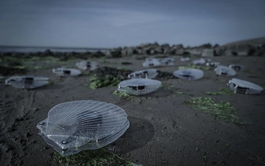 Darknet ссылки